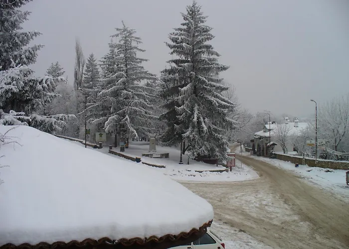 Guest Cheshmata Pensjonat 2*